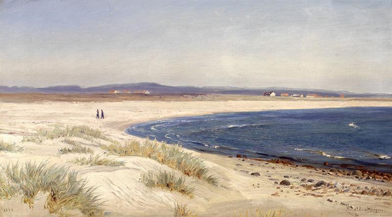 Amaldus Clarin Nielsen Mennesker pa en strand